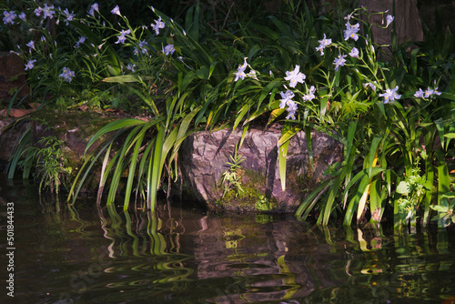 Spring scenery of Yellow Crane Tower Park in Wuhan  Hubei