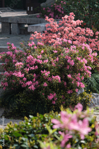 Spring scenery of Yellow Crane Tower Park in Wuhan, Hubei