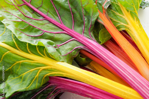 Close up Colorful Vegetable  Swiss chard