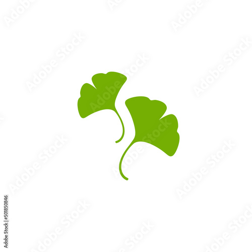 Cartoon flat green ginkgo biloba leaves isolated on white. Nature eco icon.