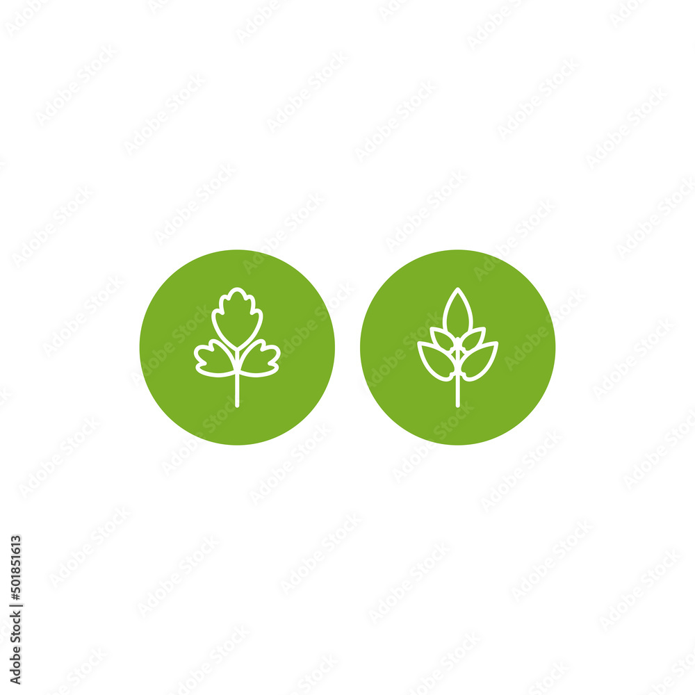 parsley and, basil. set of white line twigs, shoots, sprigs in green circles isolated. agriculture, nature, ecology, healthy organic and farm fresh food. italian herbs parsley and, basil. set of white line twigs, shoots, sprigs in green circles isolated. agriculture, nature, ecology, healthy organic and farm fresh food. italian herbs