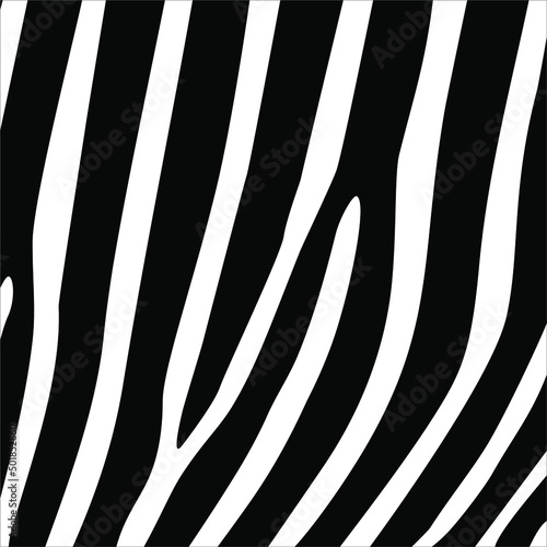 Zebra Seamless Motifs Pattern. Vector Illustration