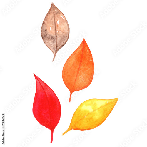 Colorful fall leaves watercolor illustration for decoration on Autumn season and nature concept.