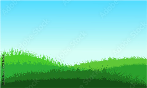 grass hills, green grass and blue sky