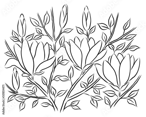 Hand-drawn magnolia branches with flowers and buds