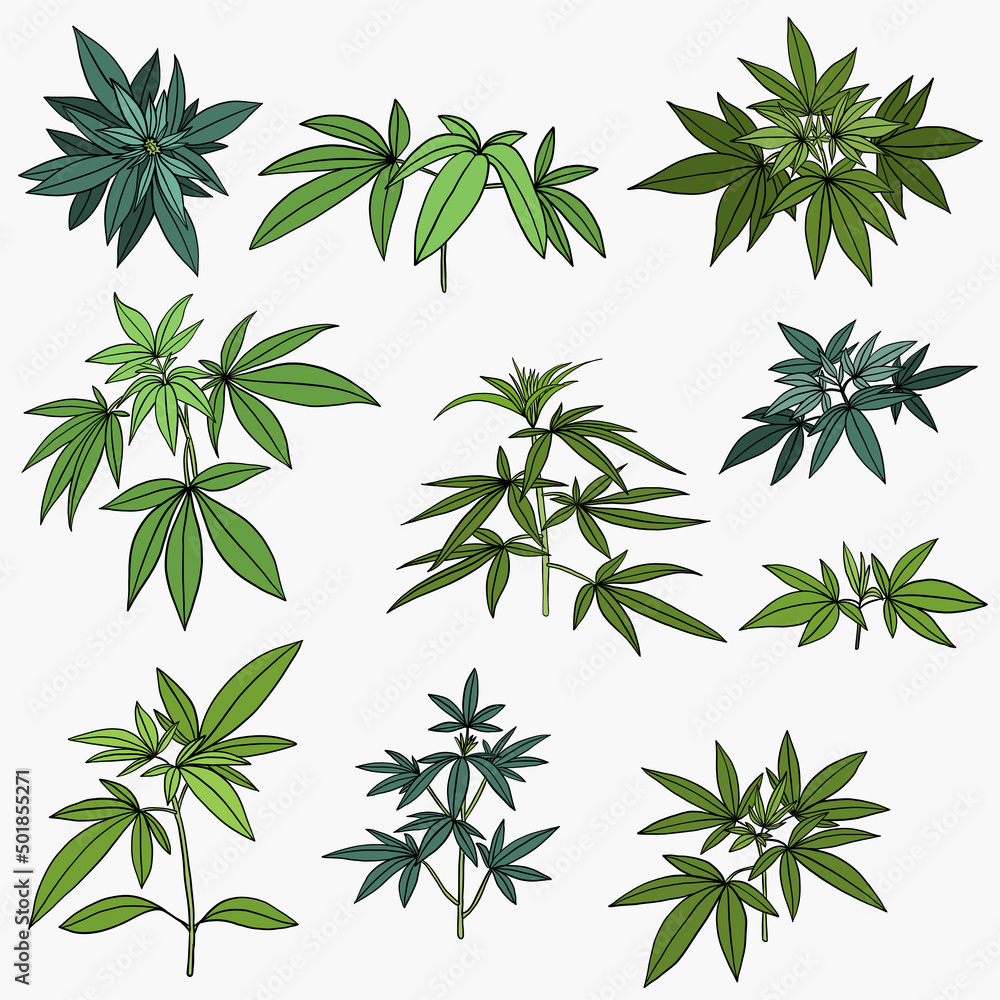 Simplicity cannabis plant freehand drawing flat design collection.