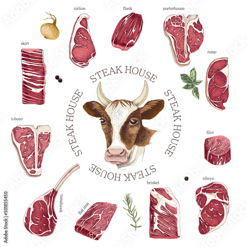 Hand drawn meat elements set. Steak cuts set. 