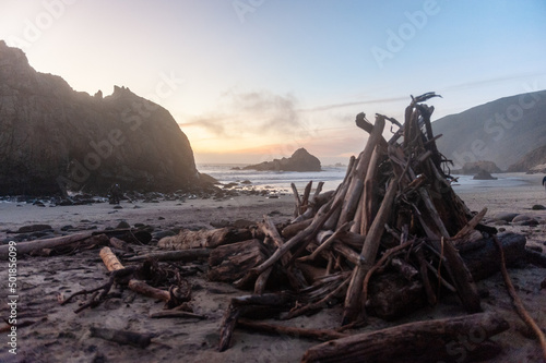 Close-up of a pile of firewood laying ashore on Pfeiffer Beach, around sunset.