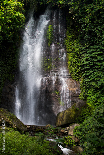 Tropical sunny landscape Bali - fresh summer wild powerful waterfall in jungle with lush green foliage  rainforest  wet moss  stream of purity water in sunlight with bright splashes  vertical.