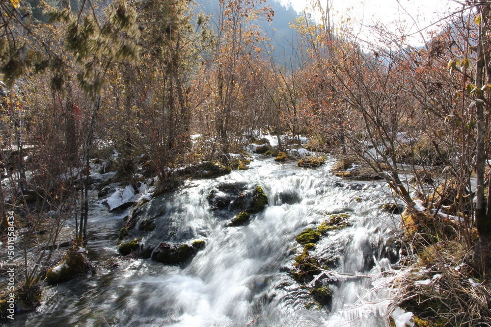 Beautiful long exposure shot of a stream in the forest with trees Beautiful long exposure shot of a stream in the forest with trees