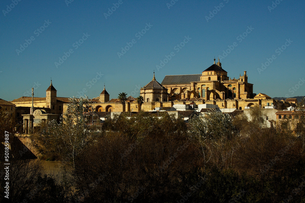 Cordoba, Lamezquita, Andalusia ,Spagna