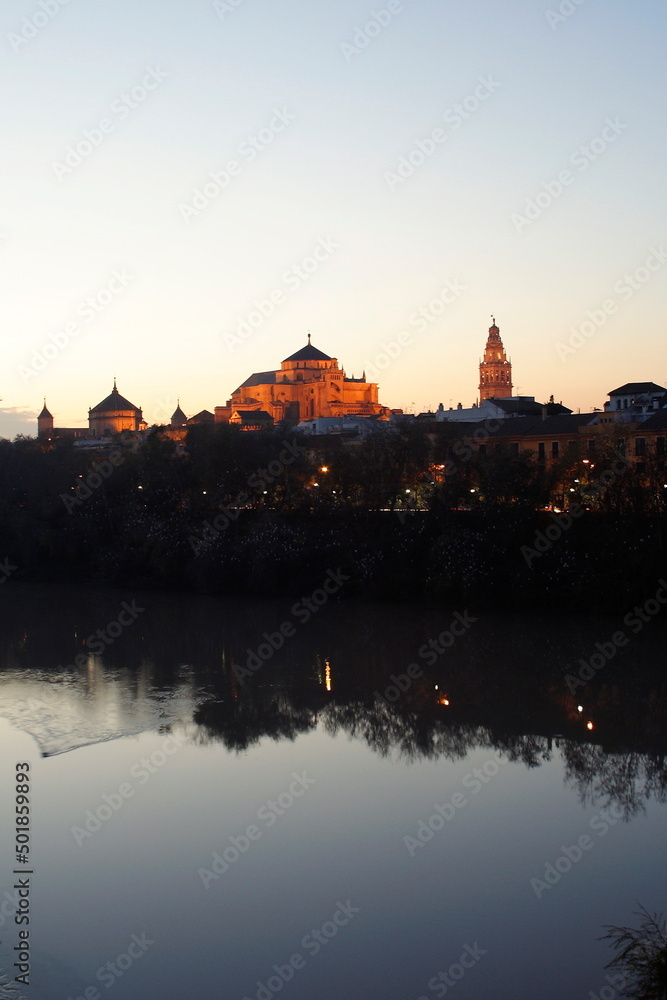 Fototapeta premium Cordoba, Lamezquita, Andalusia ,Spagna