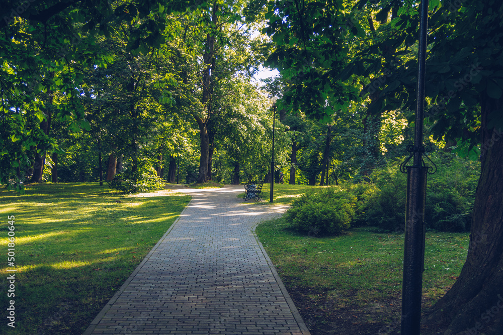 Summer park alley with trees and sunbeams going through the leaves cozy and picturesque place to relax and take a walk. Solitude atmosphere stock photography