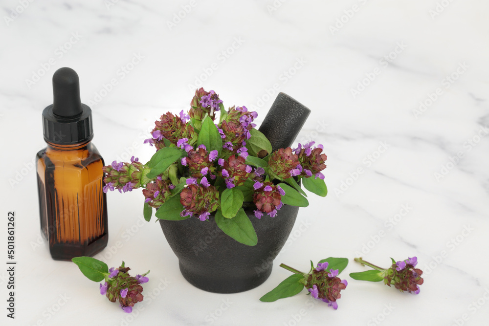 Self heal herb with essential oil bottle. Herbal plant medicine to