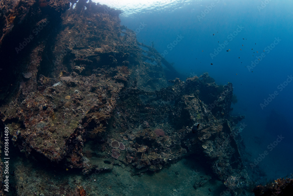 Obraz premium The famous Liberty ship wreck - underwater world of Tulamben, Bali, Indonesia.