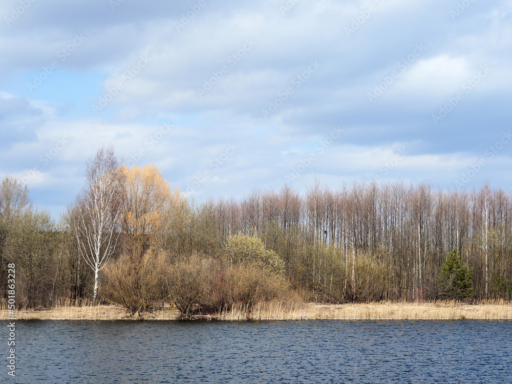 Fototapeta premium Spring landscape. Forest on the river bank on a windy spring day