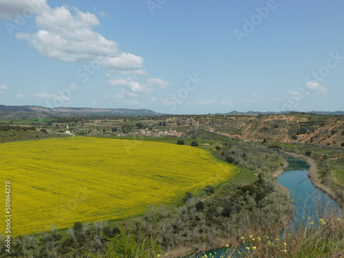 campo amarillo con río