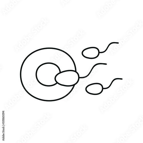 Fertilization thin line icon. Uterus, sperm, insemination. Embryology. 