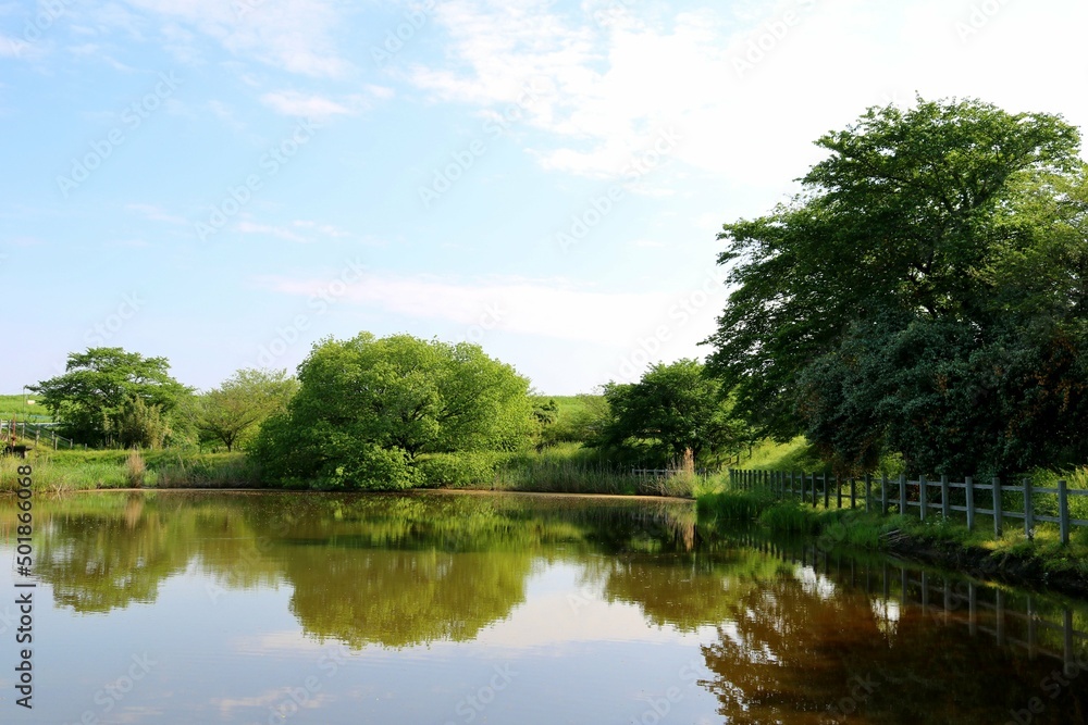 静かな癒しの風景 旧思川 生井公園 静かな癒しの風景 旧思川 生井公園