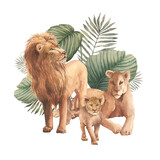 Lions family with floral arrangement. Watercolor african animals illustration. Tropical leaves and wild cats artwork isolated on white background.