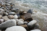 Kamienie przy brzegu rzeki
