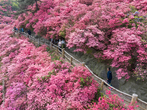 Spring scenery of Huangpi Mulan Yunwu Mountain in Wuhan, Hubei photo