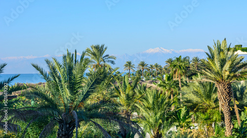 Wallpaper Mural Blick zu den verschneiten Gipfeln des Küstengebirges an der türkischen Riviera Torontodigital.ca