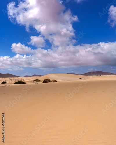 Canvas sand dunes in the desert