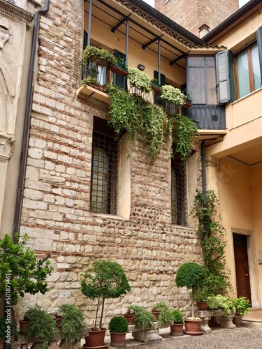 Verona, Italy. Old house wall. Fragment of facade of medieval stone wall, decorated with ivy and plants in ceramic pot. Corner house. Selective focus. Vertical