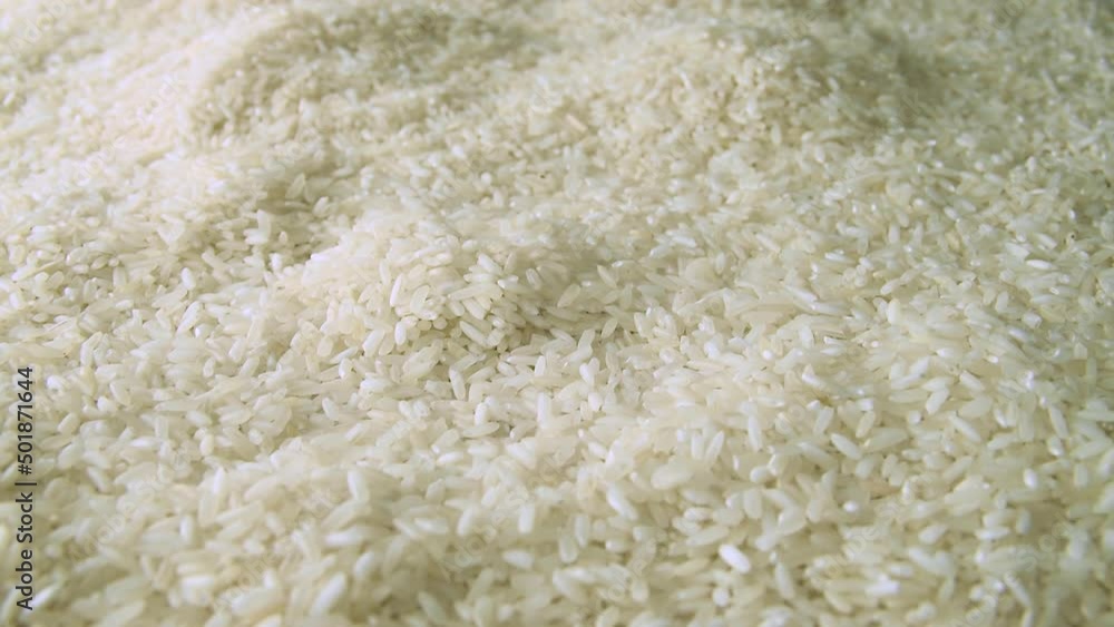 Rice grains everywhere. Camera moving forwards white seeds close up macro. White rice grains seeds filling the shot. Nutrition, health, diet in one shot. Rice grains everywhere. Camera moving forwards white seeds close up macro. White rice grains seeds filling the shot. Nutrition, health, diet in one shot.