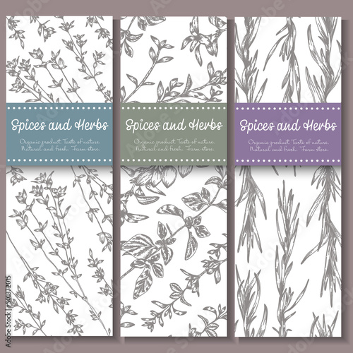 A colorful set of background images with grass and greenery. Bright, colorful hand drawing. 
Vector for menu, restaurant, food and kitchen design.

