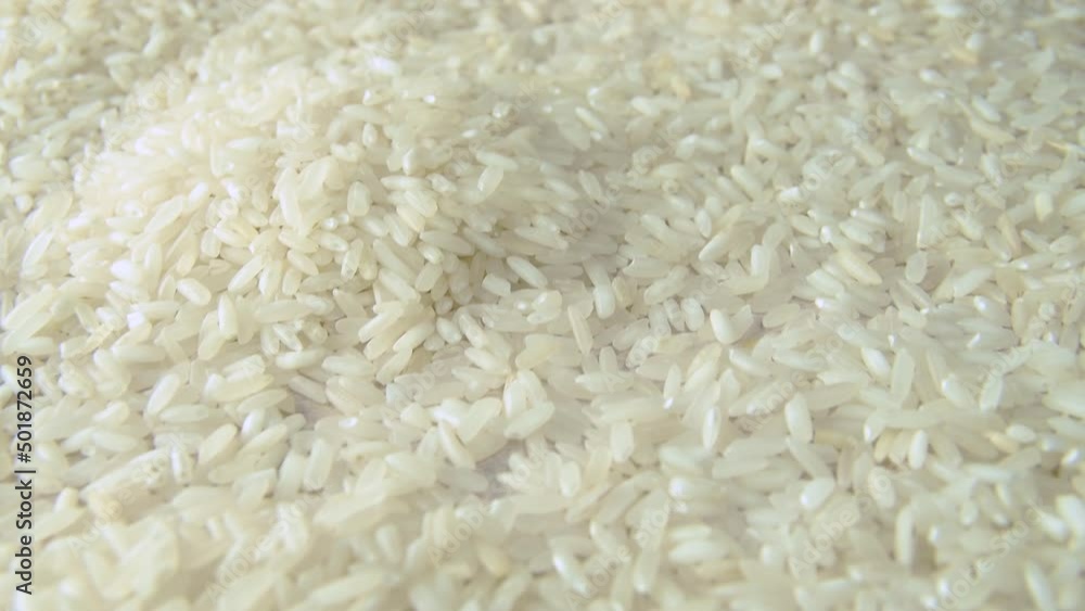 Rice grains everywhere. Camera moving forward wide close up macro shot. White rice grains seeds filling the shot. Nutrition, health, diet in one shot. Rice grains everywhere. Camera moving forward wide close up macro shot. White rice grains seeds filling the shot. Nutrition, health, diet in one shot.