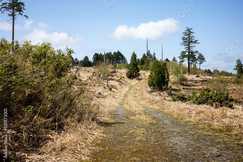 日本の岡山県と兵庫県にまたがるダルガ峰と駒の尾山の美しい風景