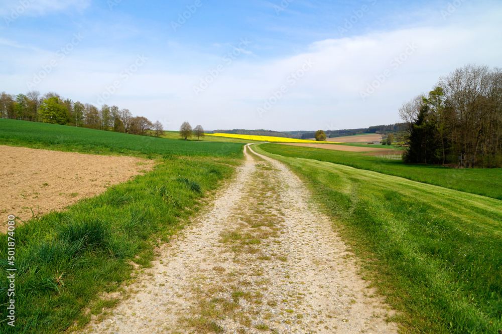 beautiful sunlit spring landscape with endless fields of the Bavarian countryside in Winterbach (Germany, Bavaria, Swabia)