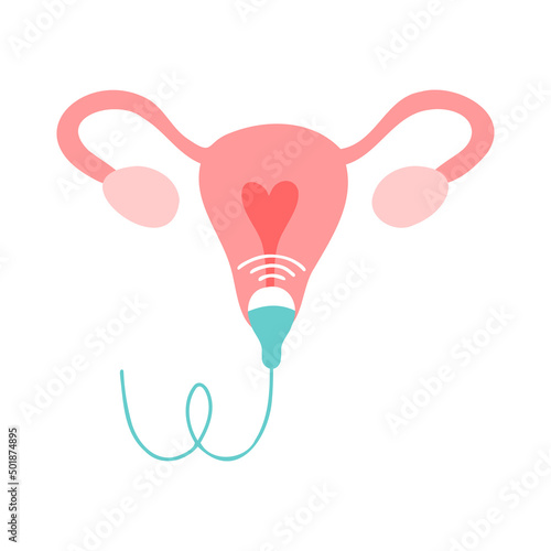 Gynecology ultrasound. Medical examination, obstetrics. Uterus and ovaries.