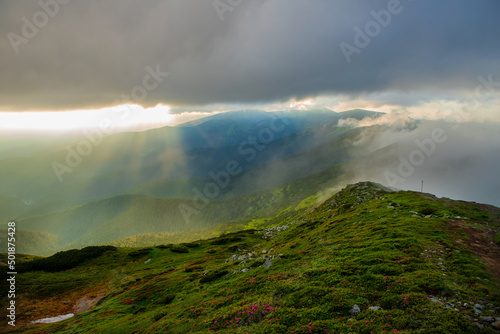 Fog in the mountains of the Eastern Carpathians. Ukraine.