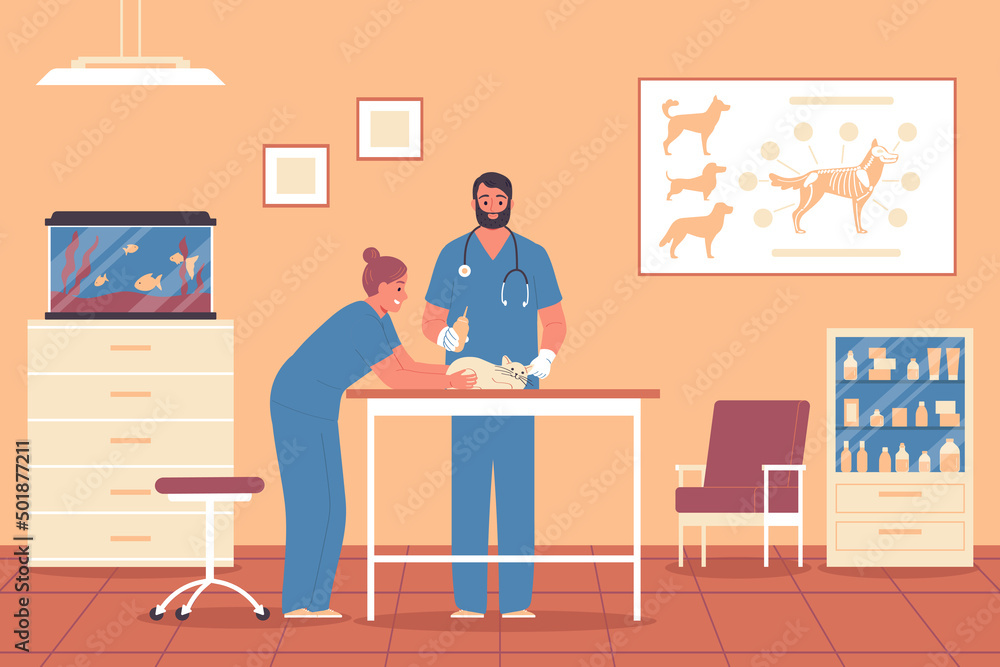 Veterinary Clinic Flat Background Veterinary Clinic Flat Background