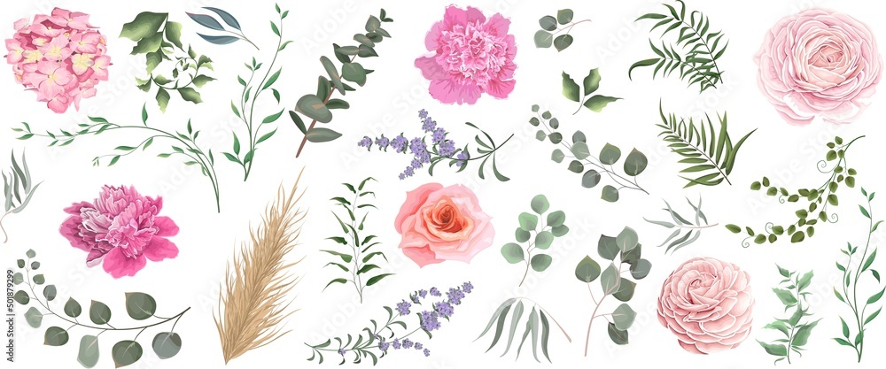 Vector grass and pink flower set. Eucalyptus, different plants and leaves, lavender, pink roses, Hydrangea, peony, ranunculus, dry wood.  - obrazy, fototapety, plakaty 