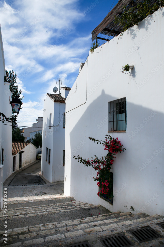 Fototapeta premium Whitewashed facades with beautiful bougainvillea in Altea