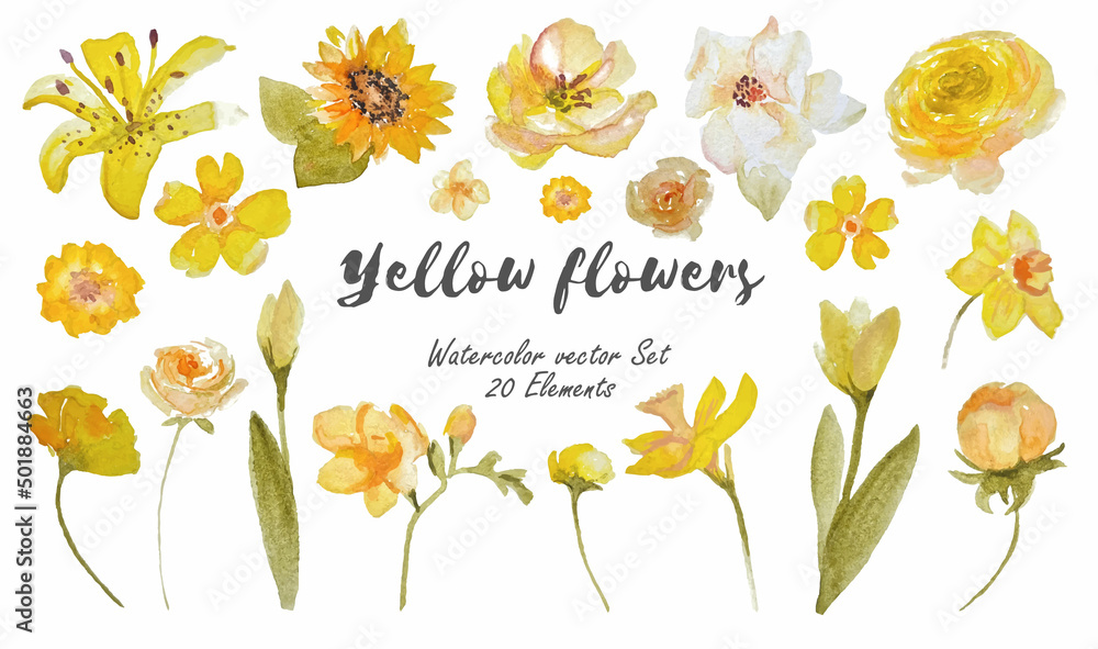 Vector set of yellow watercolor flowers on transparent background Stock
