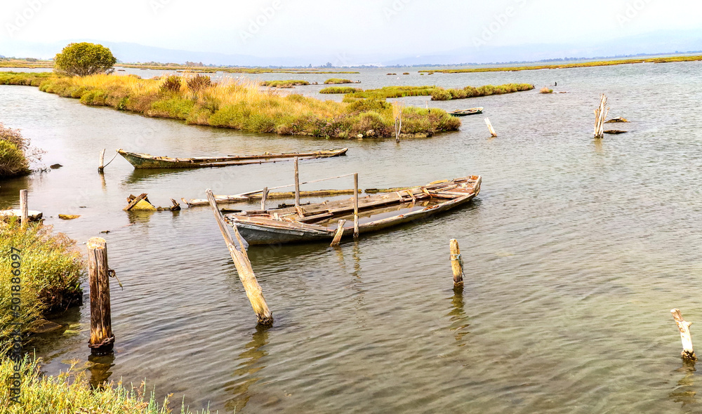 old and forgotten boats in a nature reserve old and forgotten boats in a nature reserve