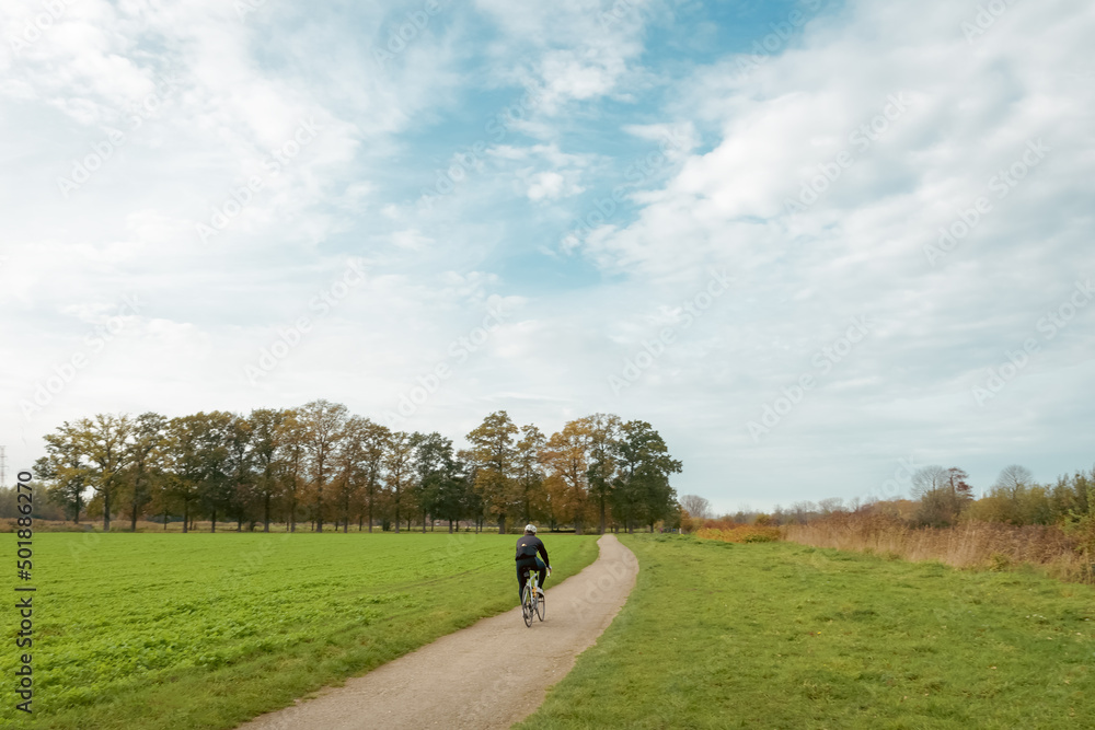 Fototapeta premium A cyclist drives through fields and forest country site. Beautiful autumn landscape with a cyclist