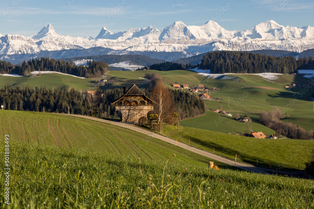classical view over the hills of Emmental with the Bernese Alps in the Background