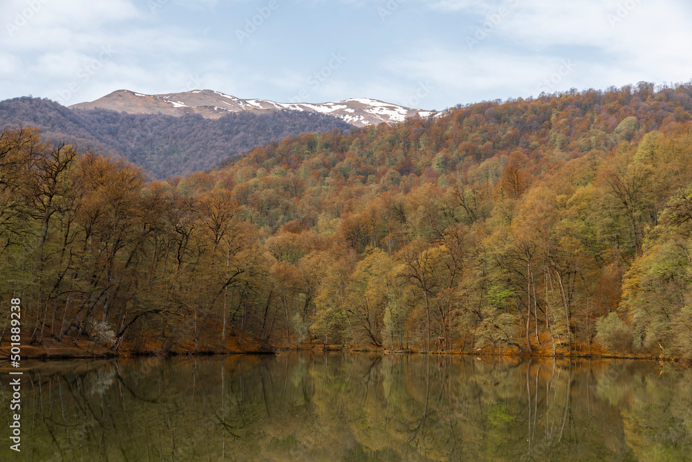 Beautiful spring landscape forest with lake.