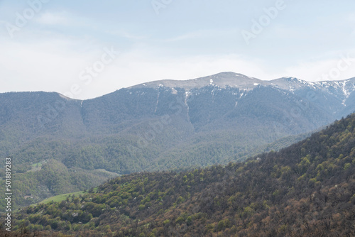 Spring mountains landscape with trees on the green field.