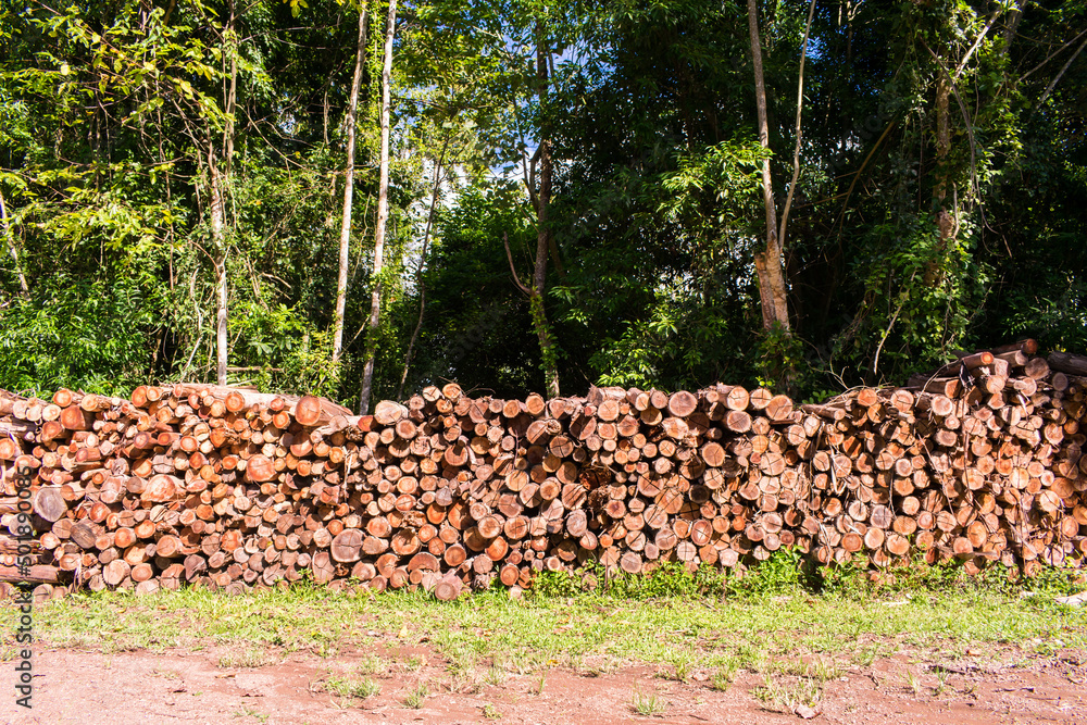 Pile of wood logs in the countryside of Tres Coroas, Rio Grande do Sul - Brazil