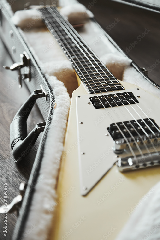 Fototapeta premium Electric guitar in the case