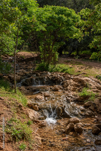Parod or Farod Falls in northern Israel is a beautiful place to hike in the Winter and Spring. 