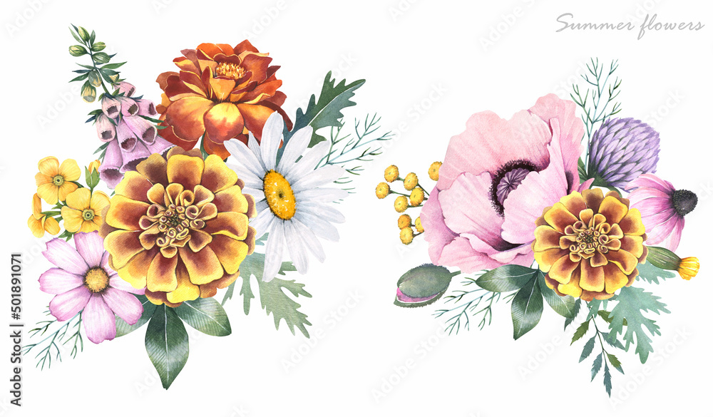 Watercolor illustrations. Summer flowers, poppies, daisies on a white background. Bouquet of flowers. 