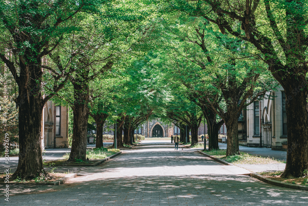 東京大学 休日の本郷キャンパス